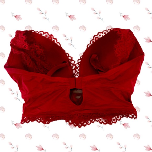 Cherry Lace Bustier 🍒♥️ Size D/DD - Picture 2 of 2